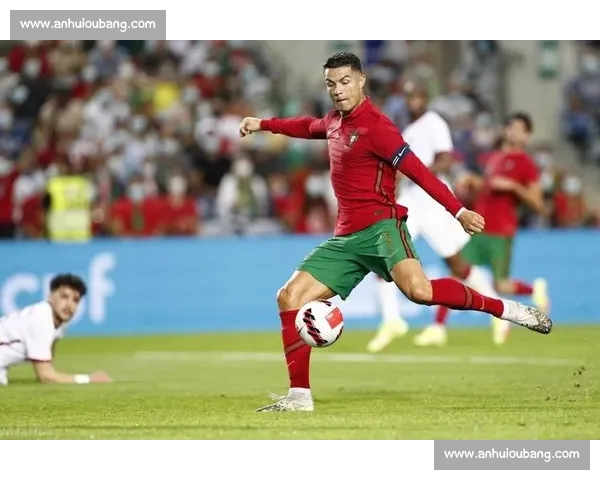 体育数据手机版全新升级实时比分分析赛事资讯一手掌握